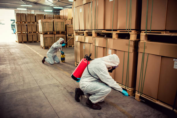 Best Pest Control Treatment  in Mount Zion, IL