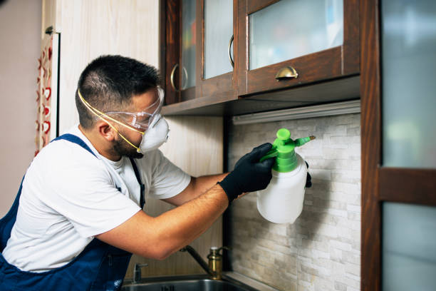 Professional Pest Control in Mount Zion, IL