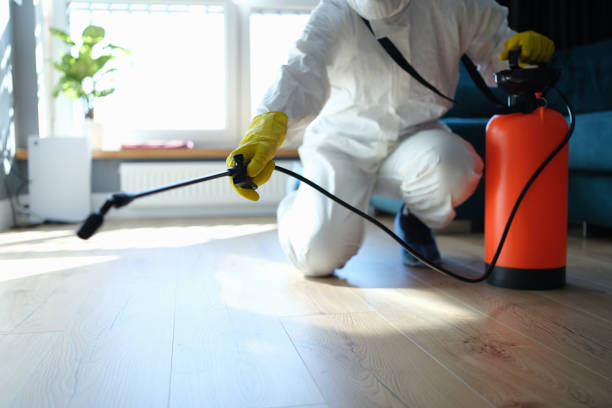 Best Local Pest Control Services  in Mount Zion, IL