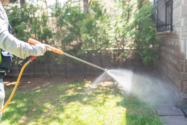 Best Ant Control Services  in Mount Zion, IL