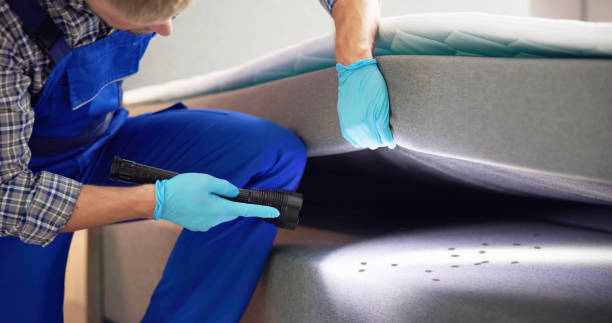 Best Rat Extermination Near Me  in Mount Zion, IL