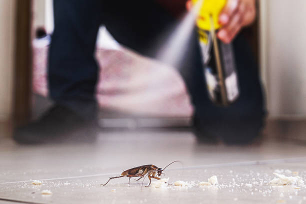Mount Zion, IL Pest Control Company