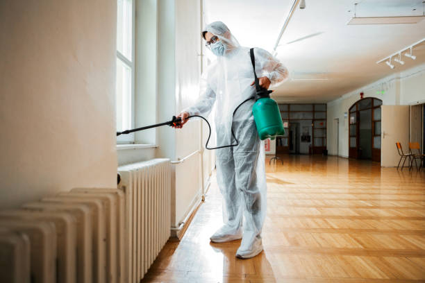 Best Pest Prevention Services  in Mount Zion, IL
