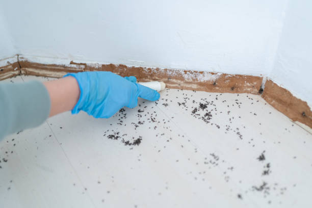 Best Commercial Pest Control Services  in Mount Zion, IL